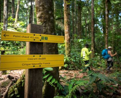 Randonnée à Saül © Guillaume Feuillet - Parc amazonien de Guyane