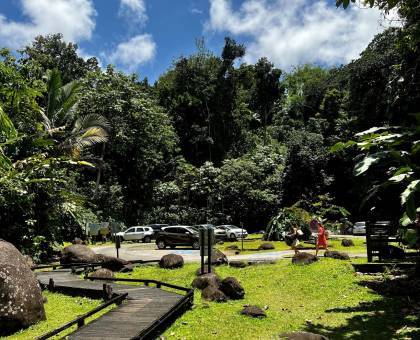 Aire de pique-nique Corossol © Lynda Obydol - Parc national de la Guadeloupe