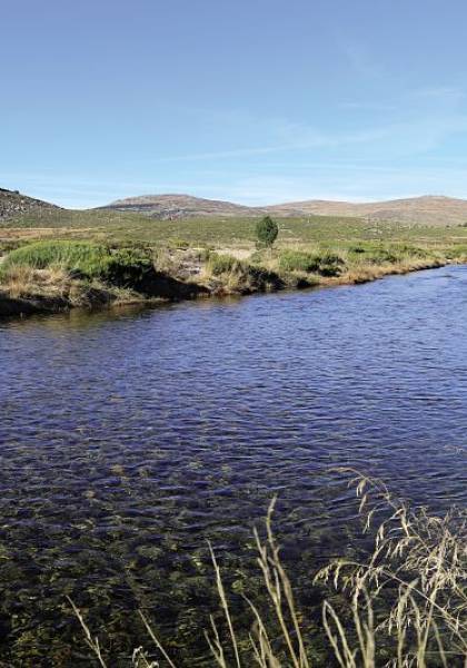 Plaine du Tarn
