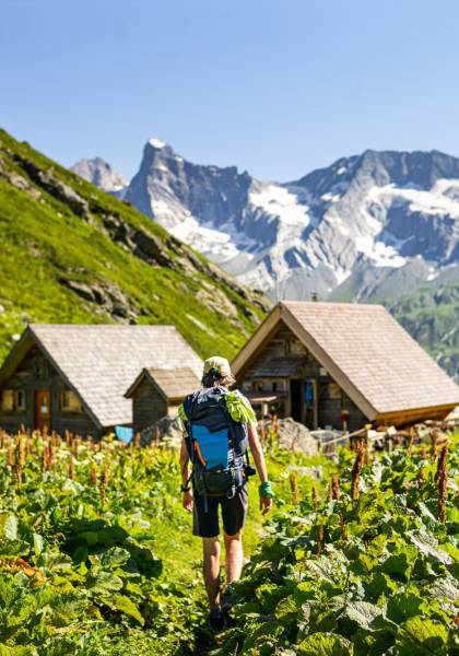 Séjour accompagné "Tour de la Vallaisonnay", vers le refuge de Plaisance © Pierre Witt - Parc national de la Vanoise