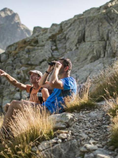 Observation © Emmanuel Rondeau - Parc national du Mercantour