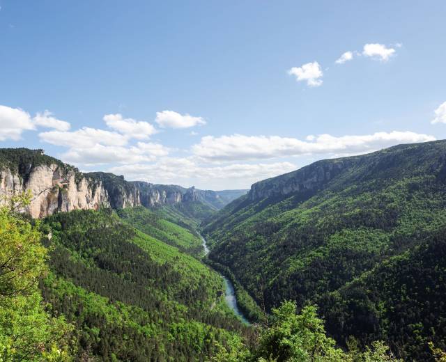 Gorges du Tarn dans les Cévennes © Daversin Bruno