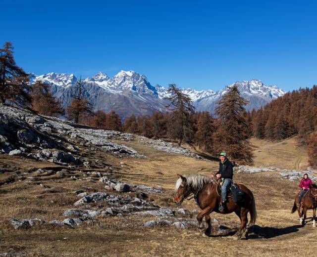 Randonnée à cheval face au massif des Ecrins - Les Têtes © Maillet Thierry / Parc national des Ecrins