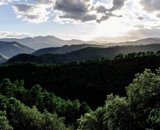 Vallées cévenoles © Olivier Prohin / Parc national des Cévennes