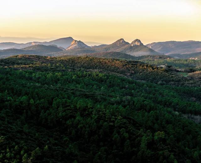 Piémont cévénol - Jumelles de Monoblet © Prohin Olivier