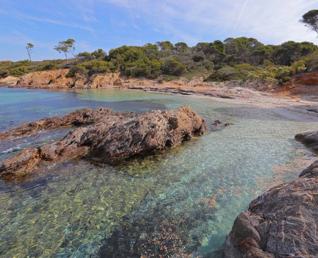 Paysage littoral à Porquerolles © Muriel Gasquy - Parc national de Port-Cros