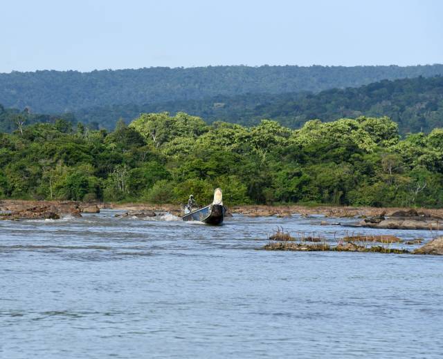 Abattis Cottica © Stephanie Bouillaguet / Parc amazonien de Guyane