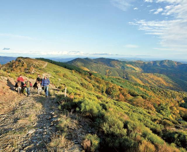 Randonnée avec ânes © Alain Lagrave / Parc national des Cévennes
