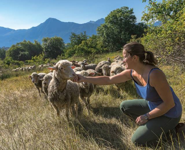 GAEC du Caïre © Bertand Bodin / Parc national des Ecrins