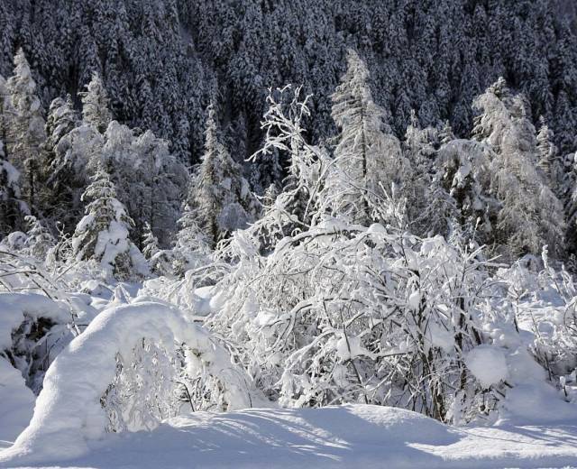 Neige à la base de loisirs Orcières-Merlette © Marc Corail / Parc national des Ecrins