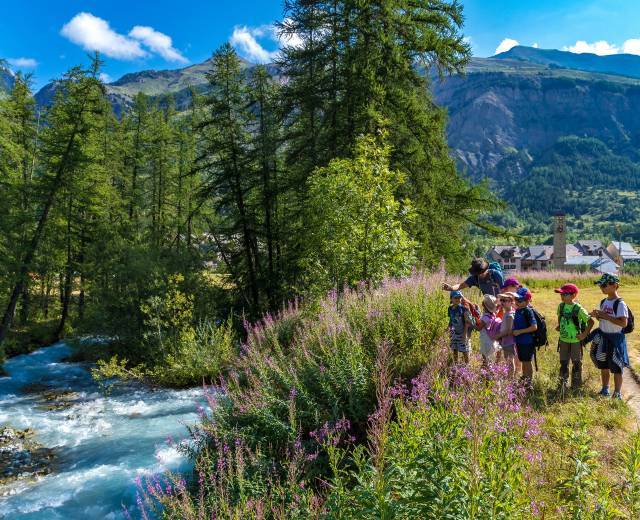Sortie découverte à Serre Chevalier © Bertrand Bodin / Parc national des Ecrins