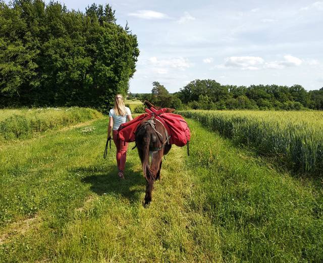 Le petit bonheur 21 - randonnée avec ânes © Esther Vuillermet
