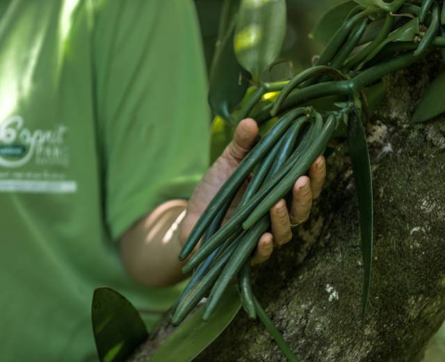 Maryse Mounier © Sébastien Conejero / Parc national de La Réunion
