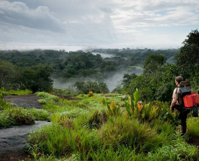 Inselberg Memora © Guillaume Feuillet / Parc amazonien de Guyane