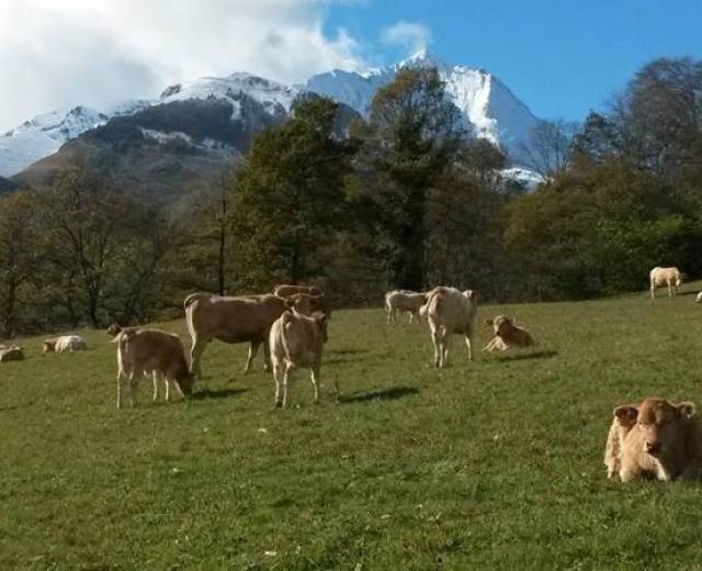 Ferme Bretou © DR /Parc national des Pyrénées