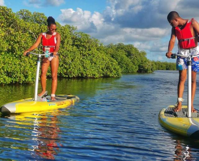 Sorties en step paddle et kayak transparent © Sea Step and Sun