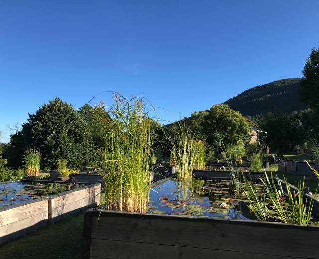 Bassins © Titus, le Jardin des Nymphaeas