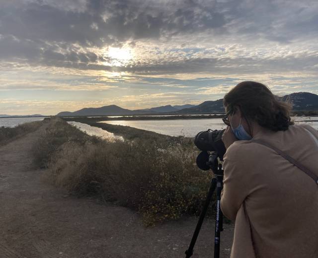 Observation ornithologique LPO Salin des Pesquiers