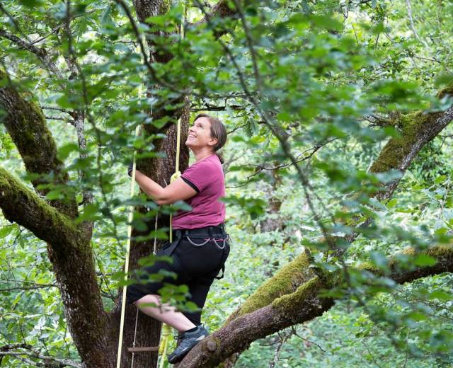Grimpe dans les arbres, Maison de la Forêt © Céline Lecomte - OFB