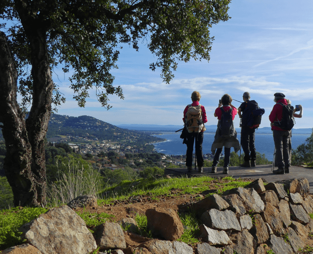 Vue sur la presqu'île de Giens depuis le massif de la Colle Noire © Muriel Gasquy - Parc national de Port-Cros