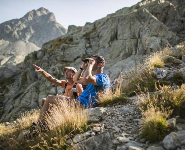 Observation © Emmanuel Rondeau - Parc national du Mercantour
