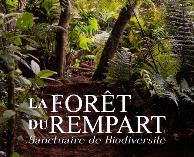 Visite de la Foret du Rempart - Association Ferme Pei