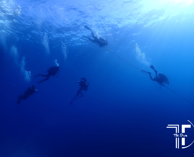 Tiki Dive Plongée