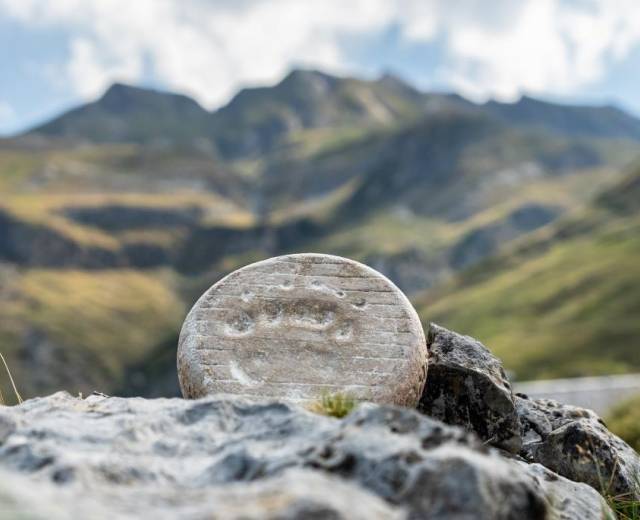 Tomme brebis estive GAEC Bexka © Pierre Meyer-AE. Médias – Parc national des Pyrénées