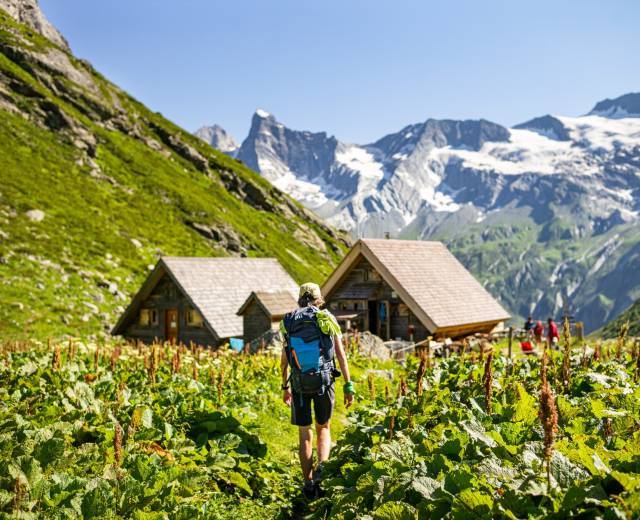 Séjour accompagné &quot;Tour de la Vallaisonnay&quot;, vers le refuge de Plaisance © Pierre Witt - Parc national de la Vanoise