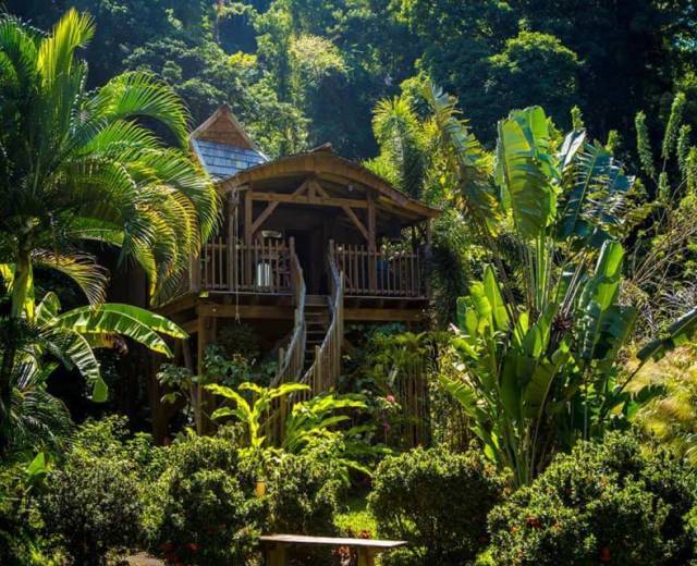 Hébergement © West Indies Cottage