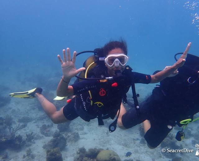 SeacretDive