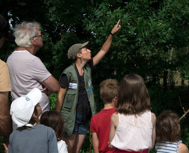 Aurélie Guy, Les Sentiers de la Belette © Céline Lecomte - Parc national de forêts