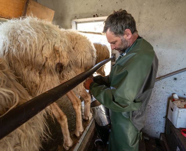 Ferme De L'Aouda - P. MEYER - AE Médias - Parc national des Pyrénées