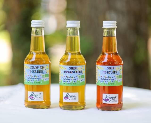 Les Cueillettes du Lauzet - Sirop de mélisse, sirop d'agastache et sirop d'hysope