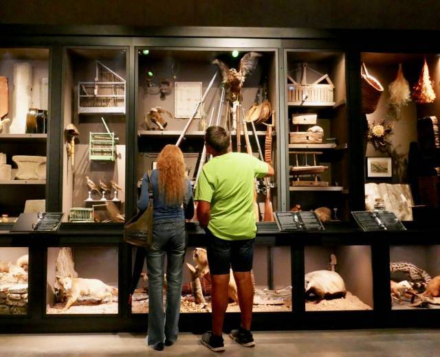 Maison Rouge, vitrine des 3 règnes © Maison Rouge