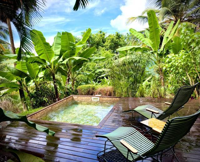 Cottage Solitude, piscine © Habitation Caféière Samana Beauséjour