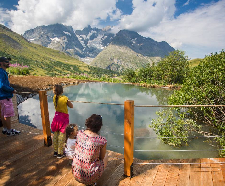 Le jardin alpin du Lautaret © Emmanuel Rondeau / Parc national des Ecrins