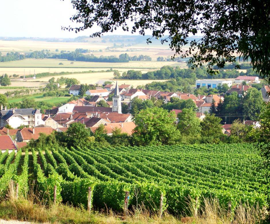 Vue sur le Domaine Muid Montsaugeonnais  © Dominique Bernard