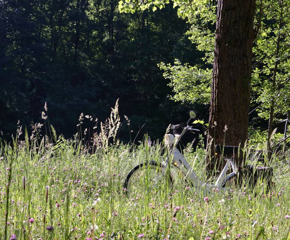 Jardin © Camping Le Petit Monde