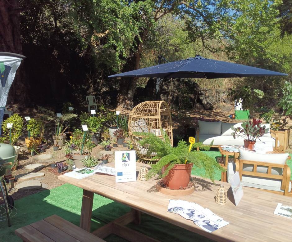 Un ti tour au jardin © Pépinière Hibiscus
