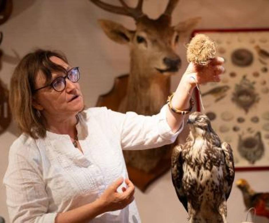 Géraldine Oudot, responsable de l'écomusée de la faune à Saint-Léger-les-Mélèzes © Florent Pedrini – Parc national des Ecrins