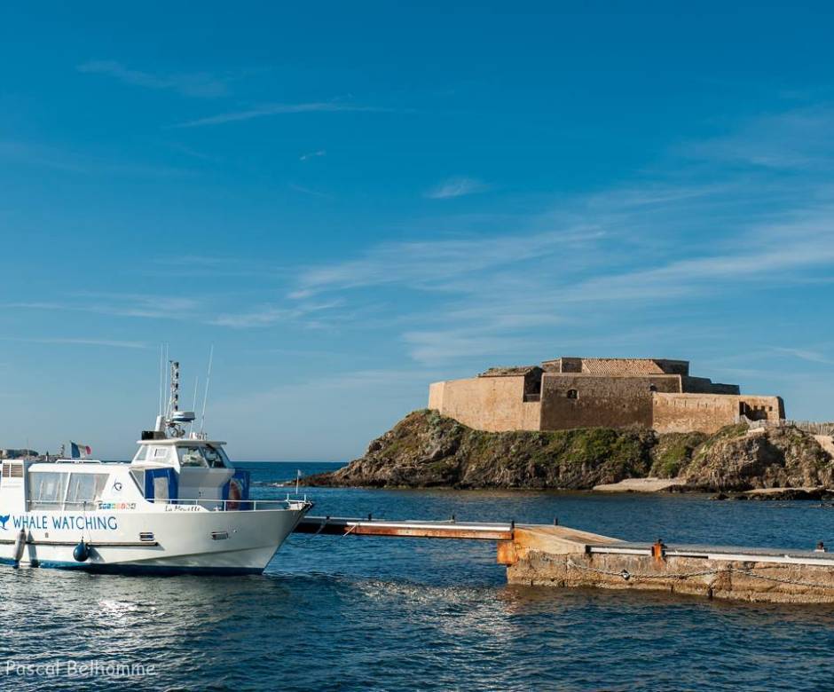 La Mouette Espace Mer © Pascal Belhomme