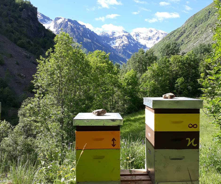 Ruches en alpage © Bel'Abeille