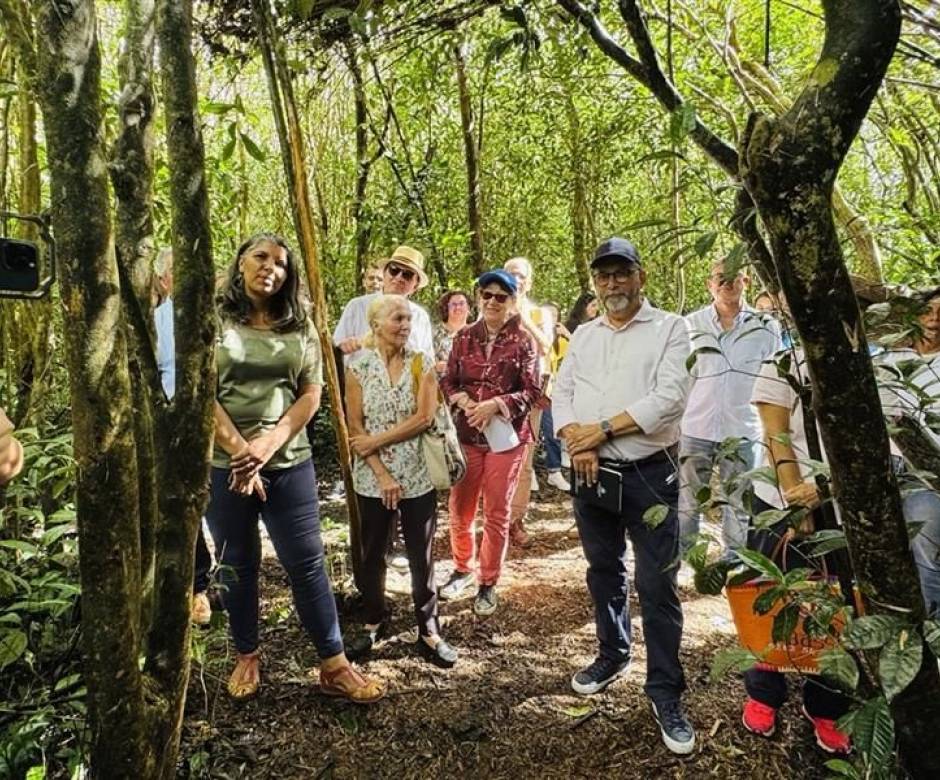 Visite Unesco, Labyrinthe En-Champ-Thé © Île de La Réunion Tourisme
