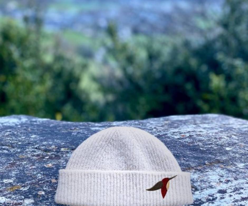 Bonnet, cincle plongeur, Pyloow © Marelha
