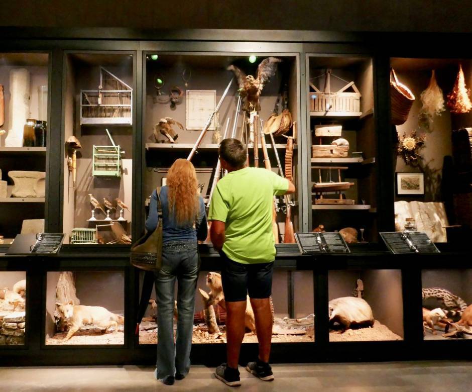 Maison Rouge, vitrine des 3 règnes © Maison Rouge
