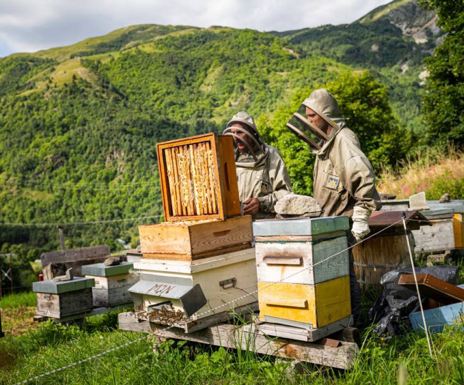 Klebert SILVESTRE dans ses ruches © Pierre Wittt - Parc national de la Vanoise