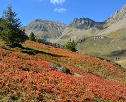 Parc national des Ecrins