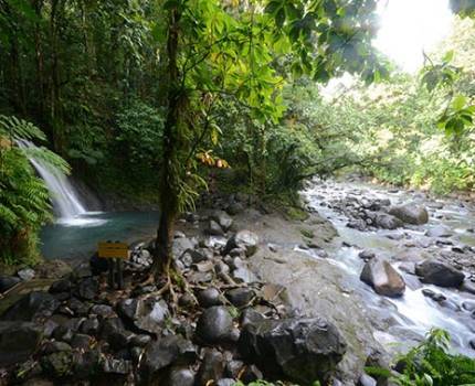 Cascade aux écrevisses - PN Guadeloupe