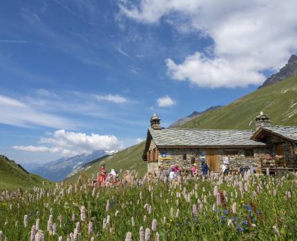 © Chloé Tardivet / Parc national de la Vanoise © Chloé Tardivet / Parc national de la Vanoise
